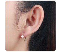 Silver Huggies Earring HO-1635-GP